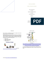 Tareas de Alto Riesgo