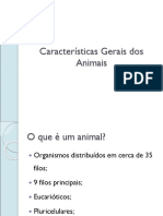 Características Gerais dos Animais