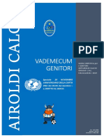 Vademecum -Airoldi - 2018-11-20 Speciale Giornata Onu