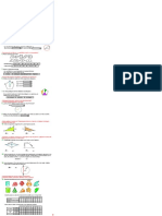 Tema12 1ºeso Auto PDF