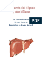 Anatomía Del Hígado, Pancreas y Bazo Nutricion