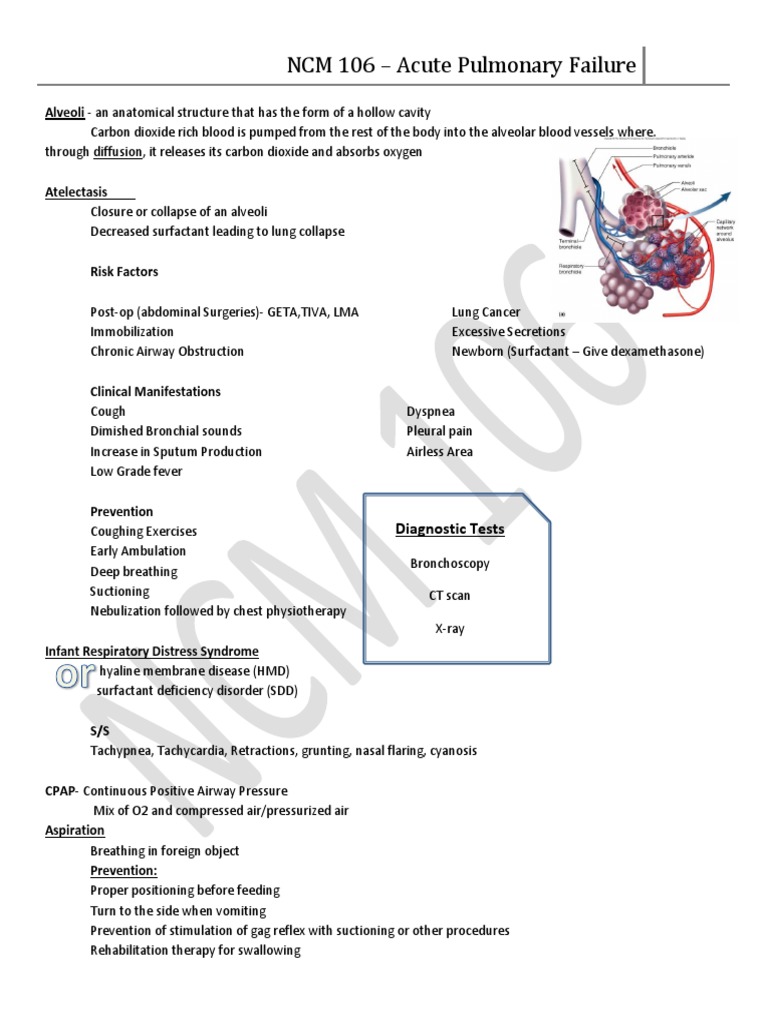 Acute Pulmonary Failure Handout | PDF | Lung | Pulmonology