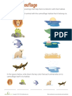 animal-camouflage-for-kids.pdf