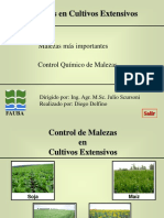 Control Químico de Malezas