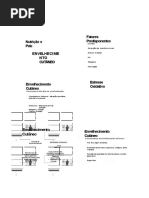 Aula Envelhecimento Cutaneo