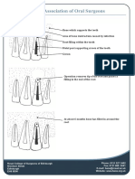 Apicectomy Diagrams1