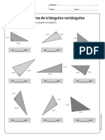 Area de Triangulos Rectangulos PDF