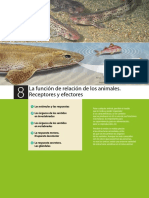 relacion_reproduccion_animales.pdf