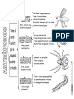 Animales-invertebrados-clasificación-Artrópodos.pdf
