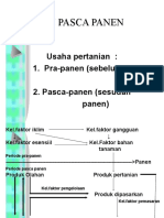 Pip (1) Kegiatan Pasca Panen