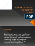 CHF Dan PJK Paper Fauzan