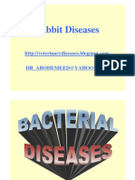 (2)+Rabbit_diseases_JPG.pdf