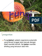 Fungi Untuk D3