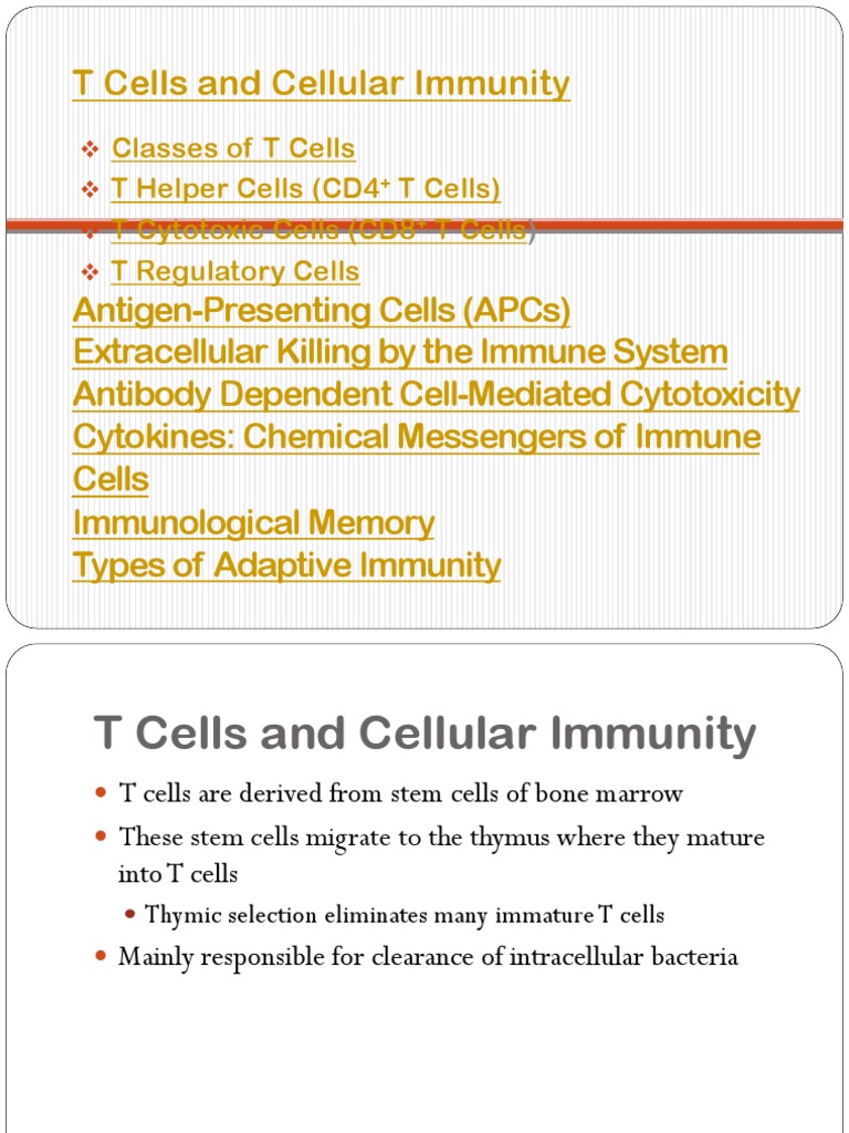 Adaptive Immune System | PDF | T Cell | Immune System