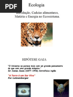 Biologia PPT - Ecologia - Cadeia Alimentar Hipótese Gaia