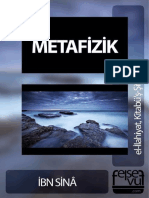 Ibni Sina Metafizik PDF