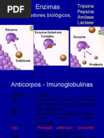 Biologia PPT - Enzimas I