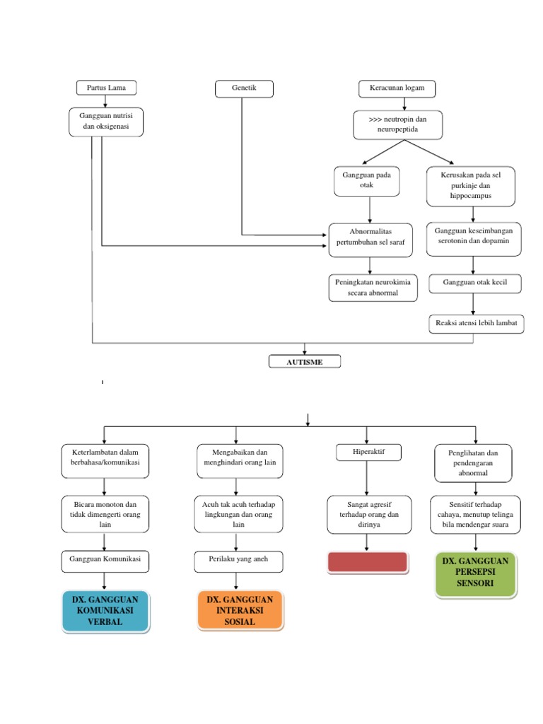 Neurobiologi dan Manifestasi Klinis Gangguan Spektrum Autisme | PDF