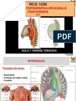 Anatomia I FML [Osteologia (Resumo)] Tiago Tomás