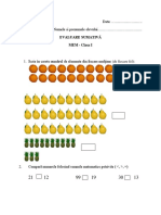 Evaluare Sumativa