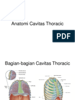 Dinding Thorax Mediastinum