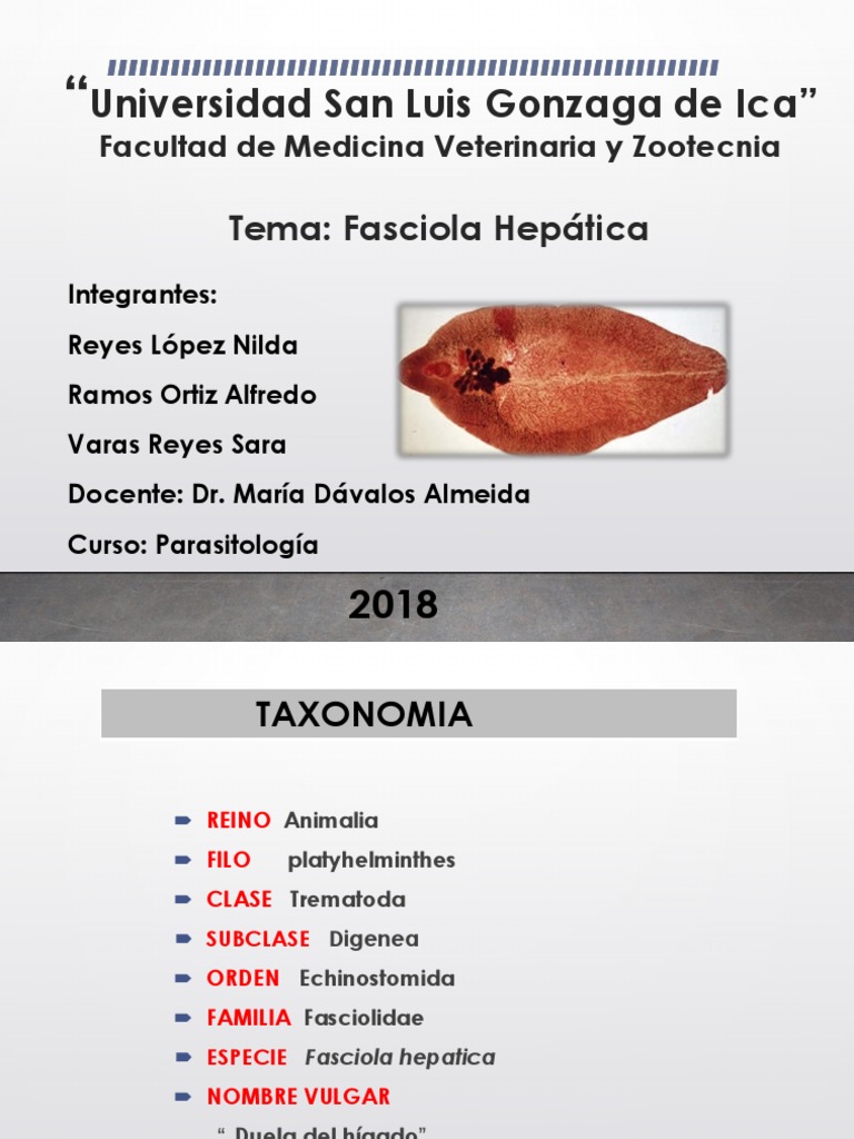 fascioliasis taxonómia)