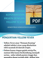 Baru Yellow Fever OK