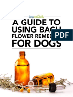 Bach Flower Remedies Guide for Dogs