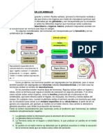 El SISTEMA ENDÒCRINO EN LOS ANIMALES