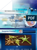Tugas Mikrobiologi Umum (Materi Metabolism Protozoa) Kimia FMIPA UHO
