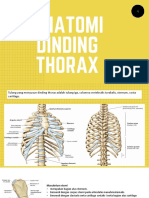 Li Anatomi Dinding Thorax