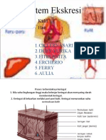 Proses Terbentuknya Keringat