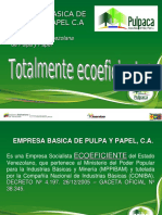 PULPACA Final PDF