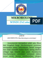 Ppt Fungi Windi