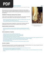 Establishment of Aseptic Cultures of Banana