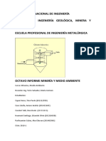 Octavo Informe de Minería y Medio Ambiente