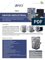 Industrial 4 Generador de Vapor Eléctrico FE-S30