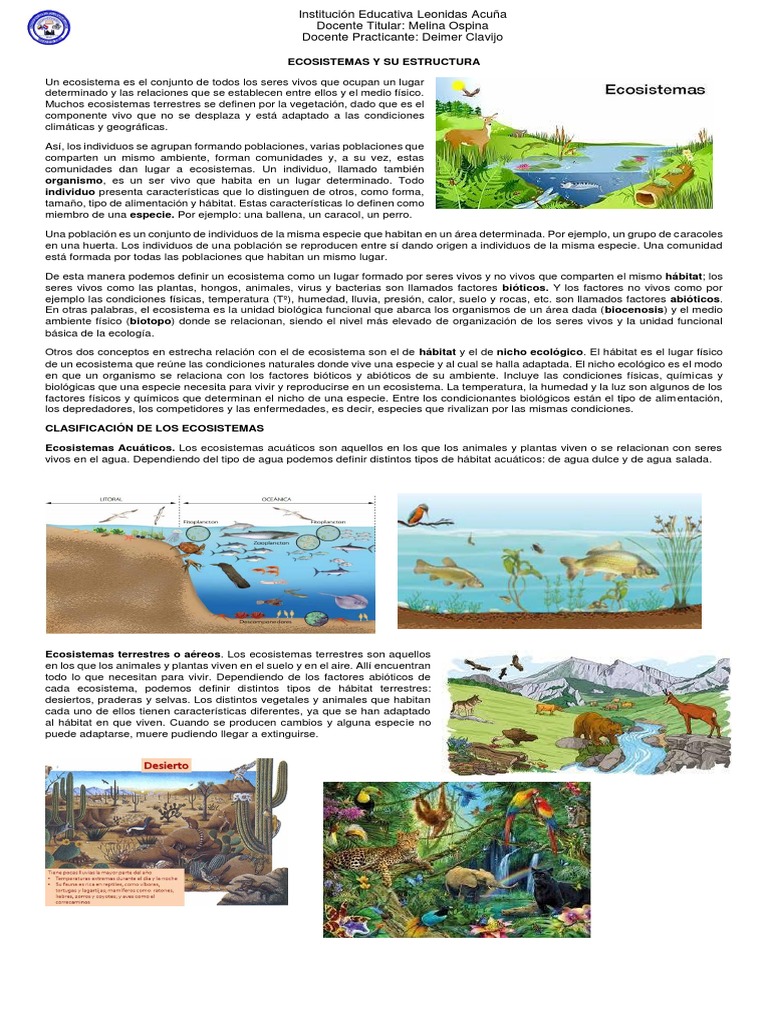 Estructura y Tipos de Ecosistemas | PDF | Ecosistema | Habitat