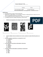 Prueba-Microorganismos-5.docx