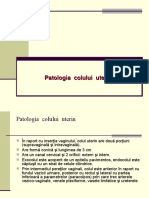 15 Patologia Colului Uterin 12