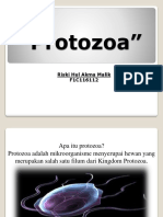 Protozoa (Riski Hul Akma Malik)