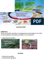 ECONOMÍA AMBIENTAL 