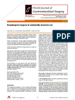 Esophageal Surgery in Minimally Invasive Era: Lapo Bencini, Luca Moraldi, Ilenia Bartolini, Andrea Coratti