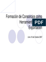 Consorcio PDF