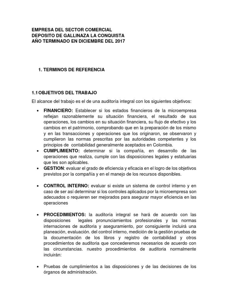 Ejemplo de Auditoria Externa PDF Auditoría Contabilidad