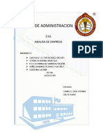 ANALISIS DE EMPRESA.docx