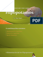 Hipoptamosdefpresentacion 160308115345