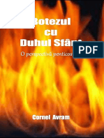 Cornel Avram - Botezul cu Duhul Sfant, O Perspectiva Penticostala.pdf