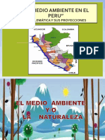 Situacion Del Medio Ambiente Del Peru - 1