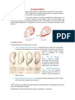 Obtetricia Placenta